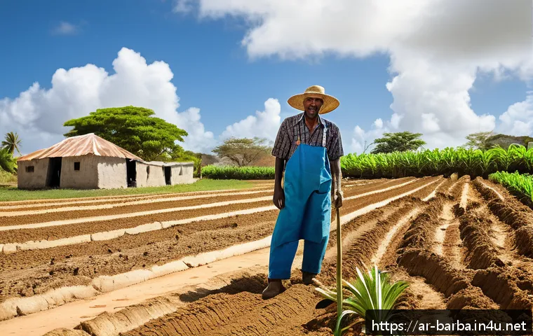 바베이도스 기후 변화 영향 - A vibrant rural Barbados farm scene during a dry season, showing a farmer in lightweight clothing an...